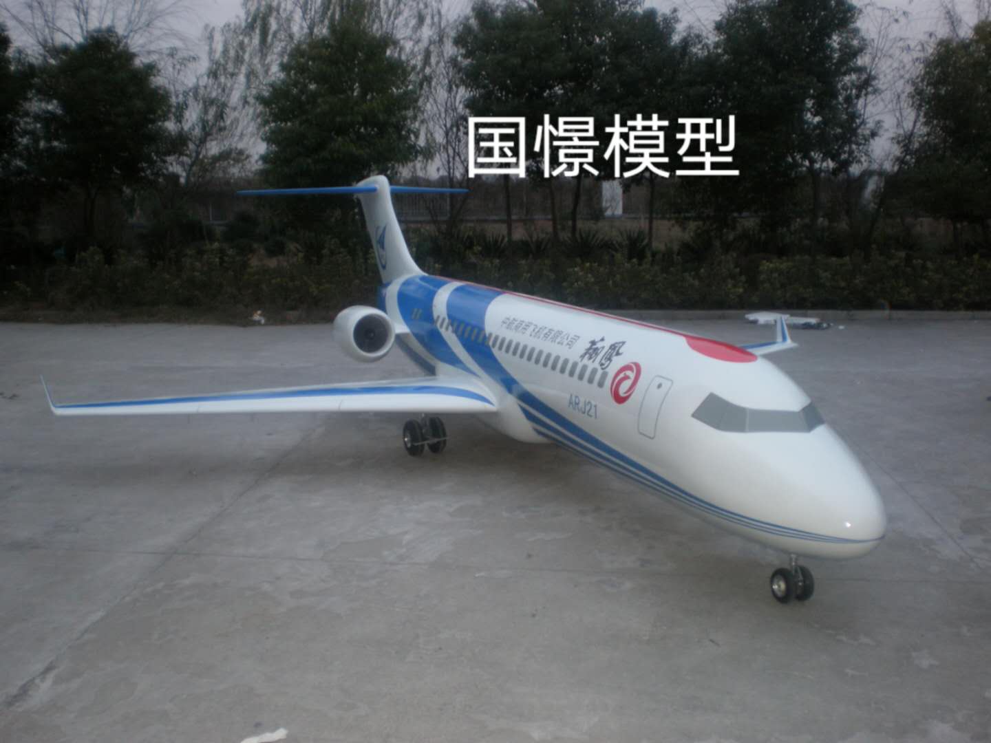 志丹县飞机模型