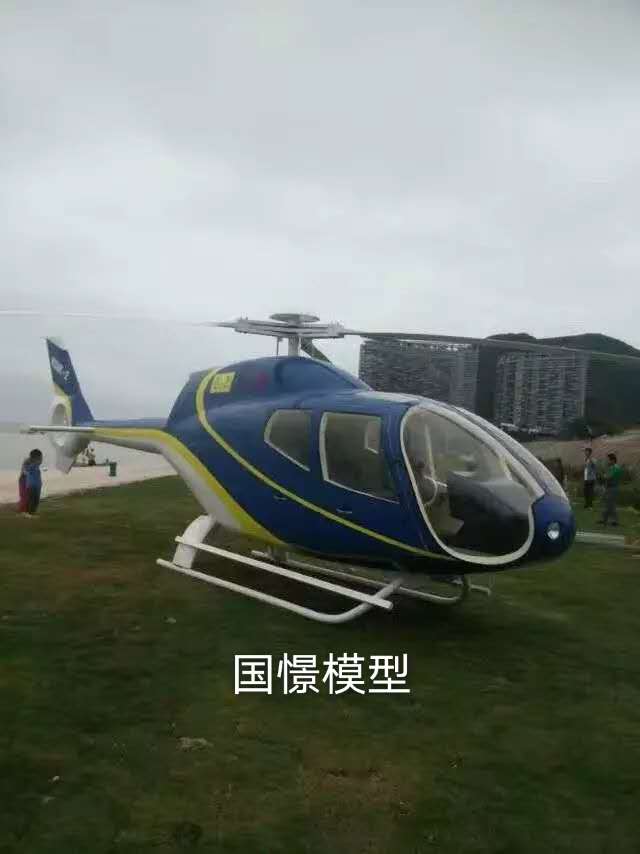 志丹县飞机模型