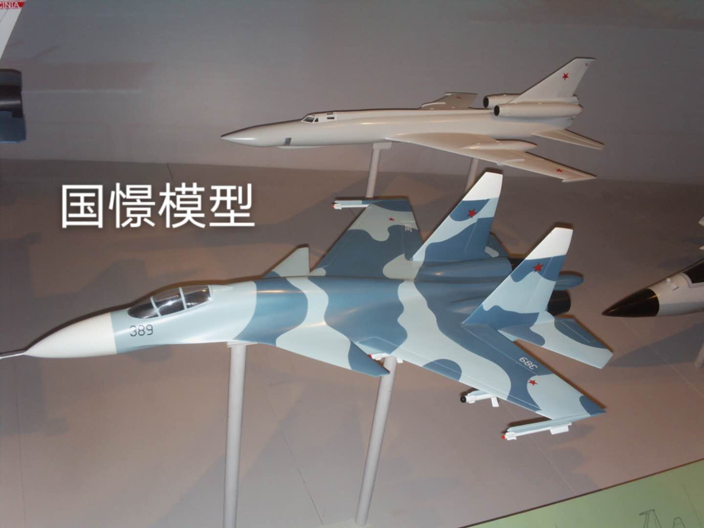 志丹县军事模型
