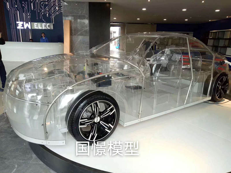 志丹县透明车模型